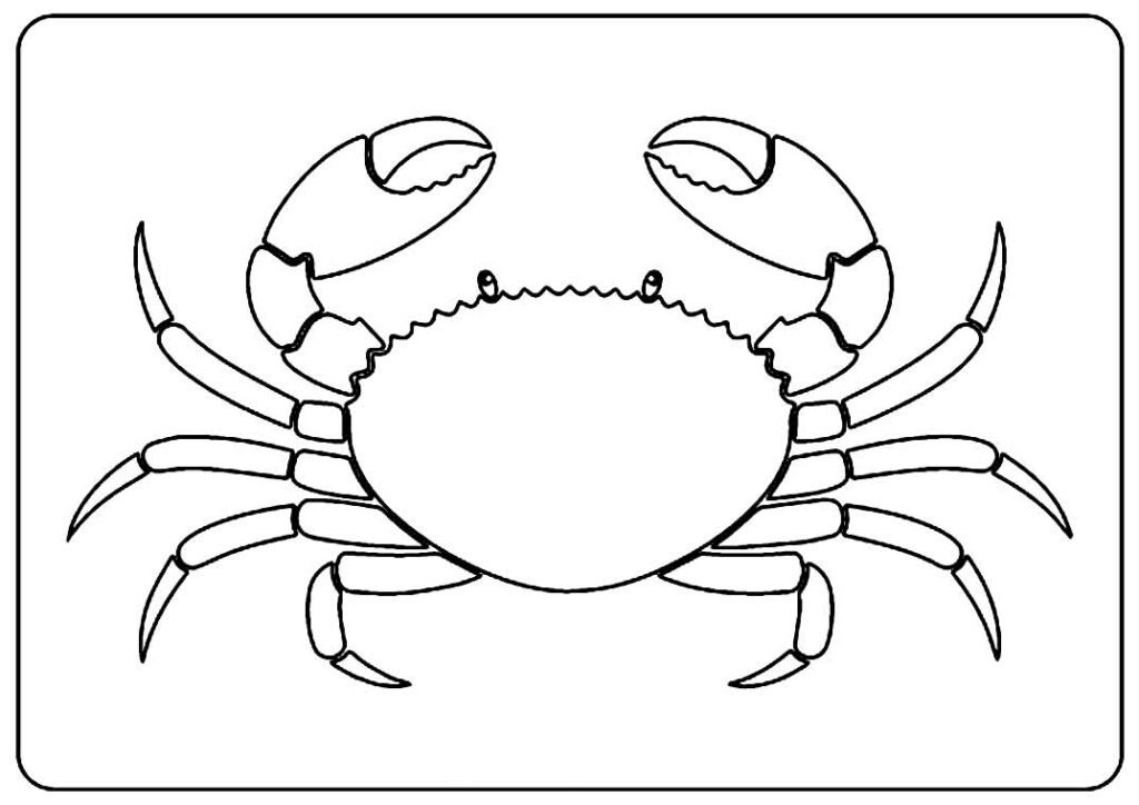 30+ Desenhos de Caranguejo para colorir - Pop Lembrancinhas