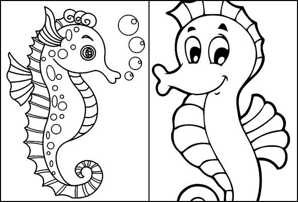 Desenhos para colorir de desenho de um cavalo marinho para colorir