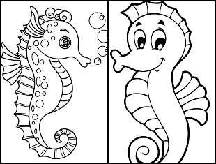Desenhos de Cavalo-marinho para colorir