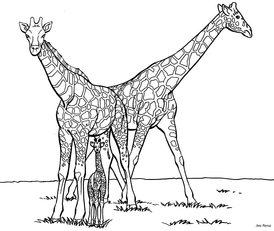 Molde de Girafa para imprimir