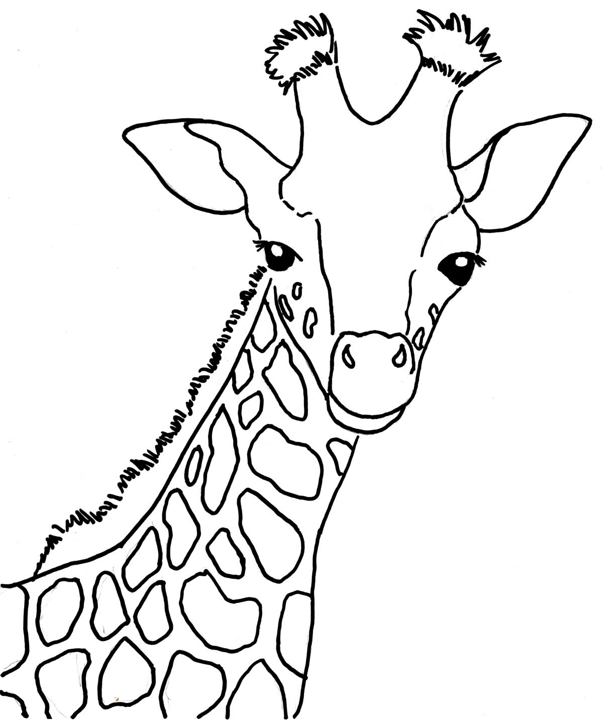 Desenho de Girafa para colorir