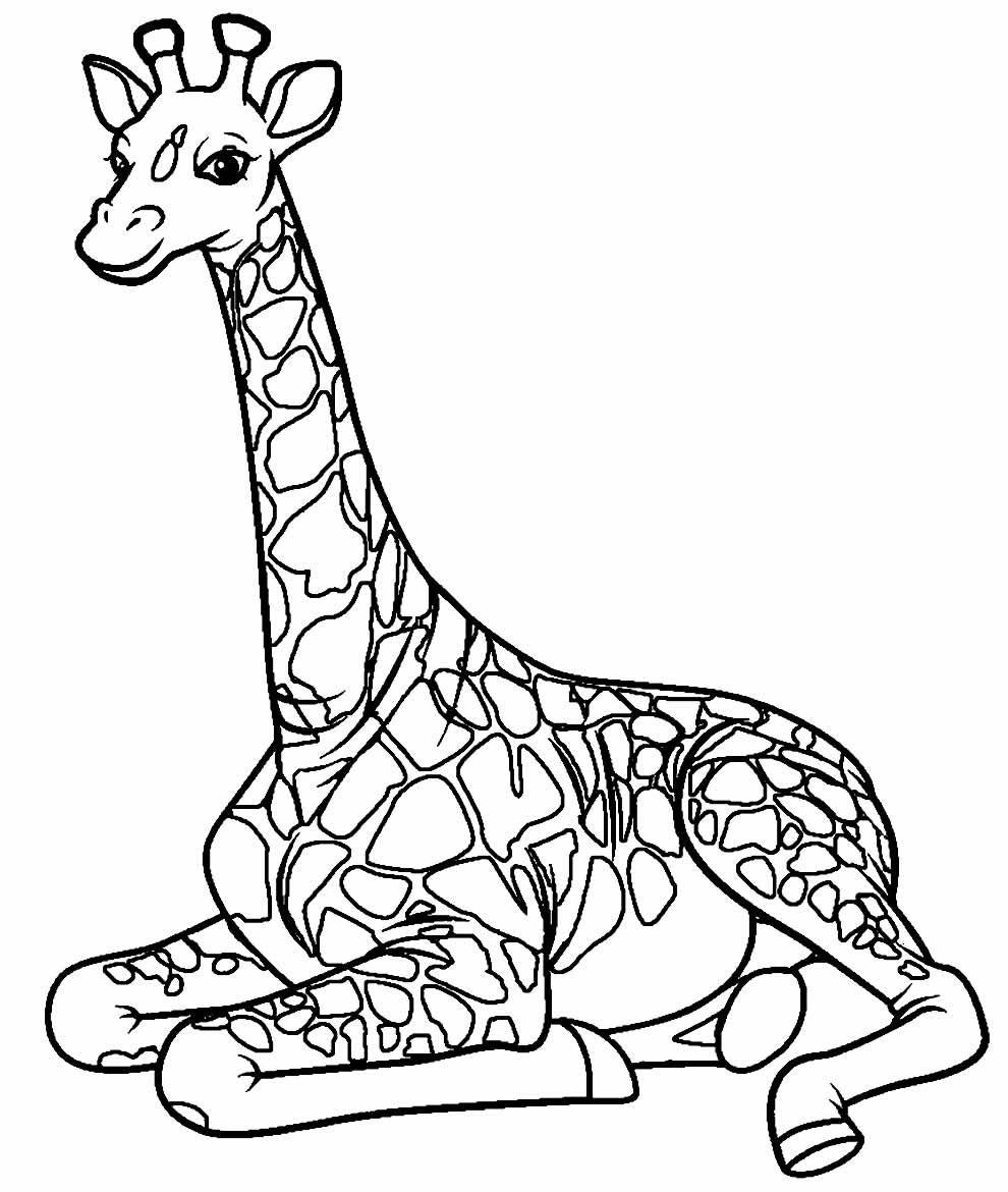 Girafa para Colorir - Desenhos de animais para pintar e Imprimir - Desenhos  para Imprimir