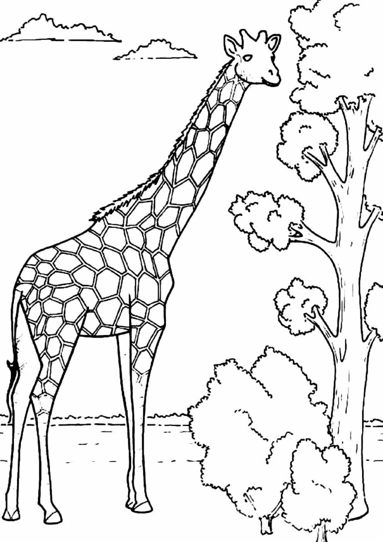 30 Desenhos De Girafa Para Colorir Pop Lembrancinhas