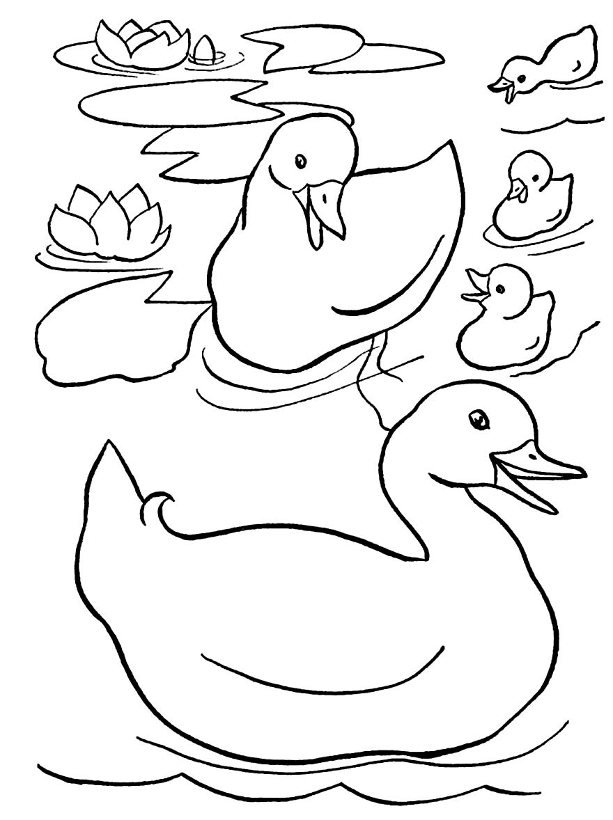 Desenho para pintar de patos