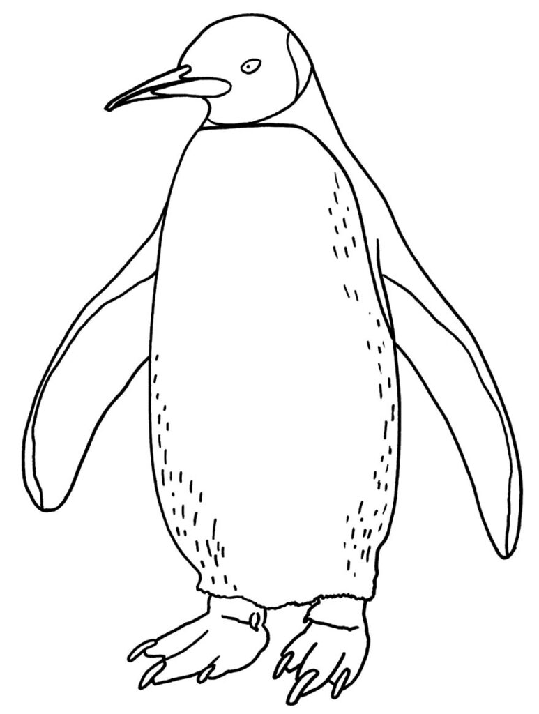 30+ Desenhos de Pinguim para colorir - Pop Lembrancinhas