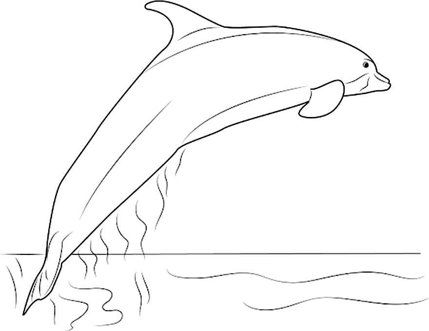 Desenho de golfinho para pintar
