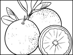 Desenhos de Laranjas para colorir