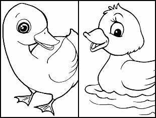 Desenhos de Pato para colorir
