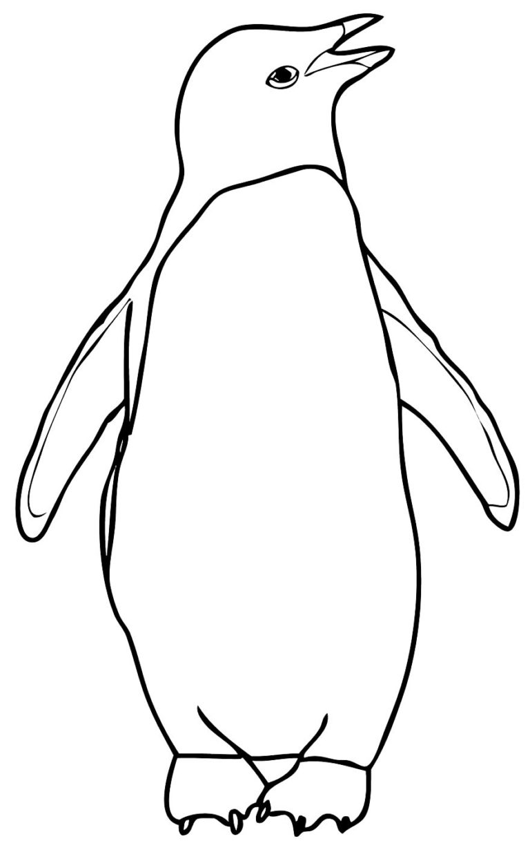 30+ Desenhos de Pinguim para colorir - Pop Lembrancinhas