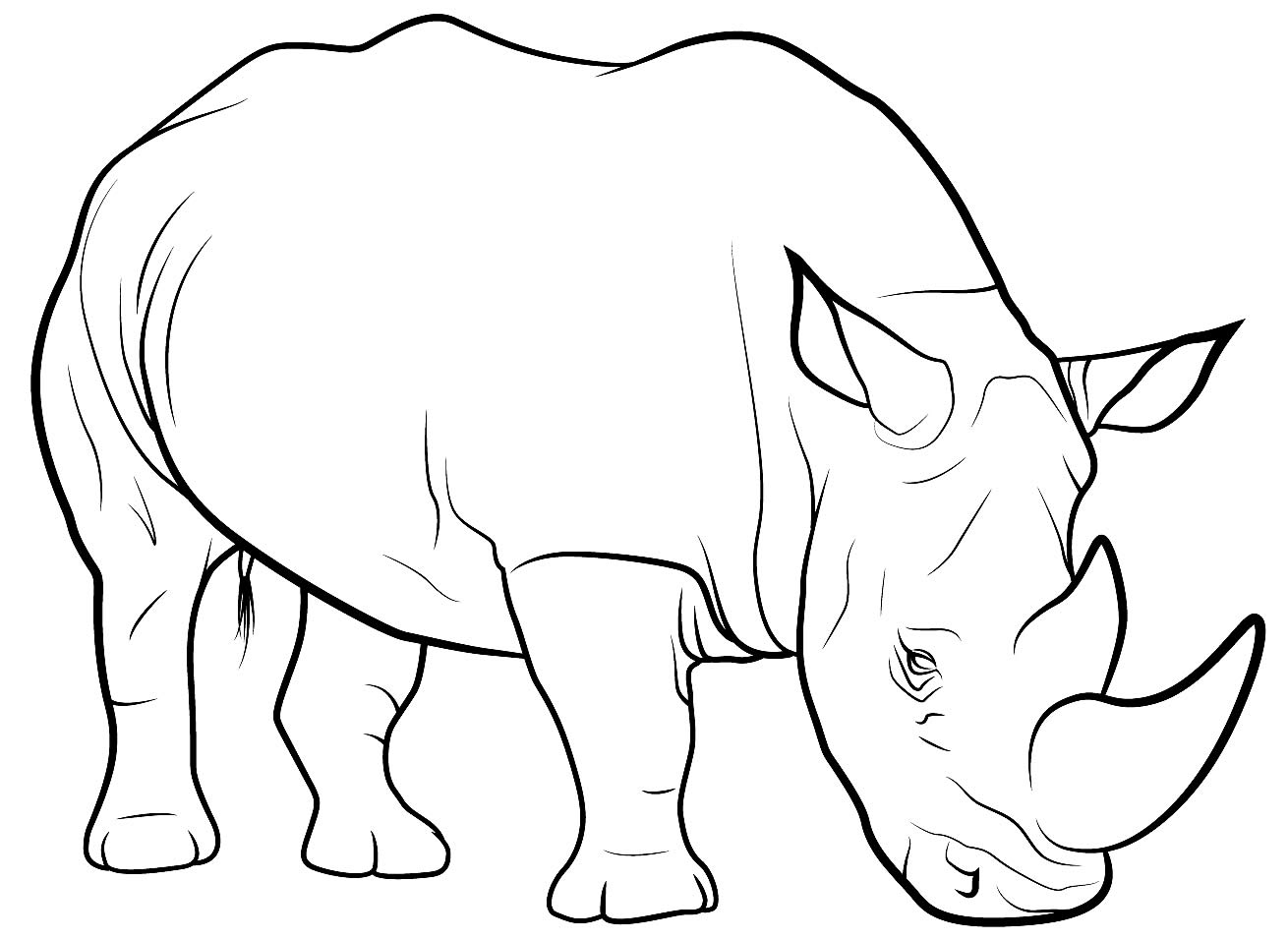 Imagem de Rinoceronte para pintar