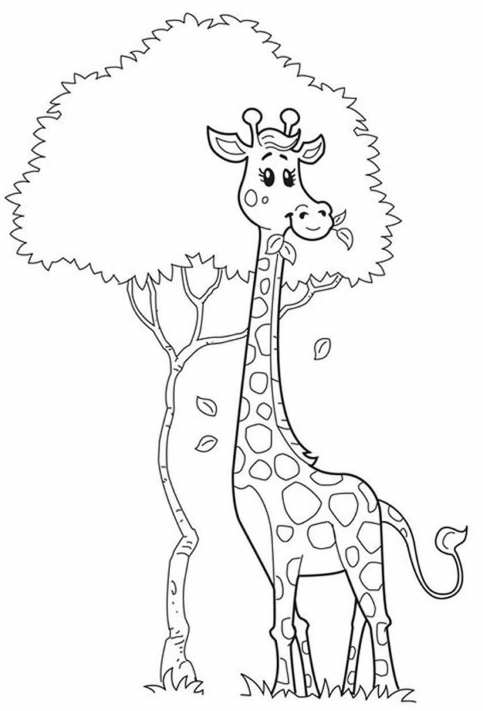 50+ Desenhos de Safari para colorir - Pop Lembrancinhas