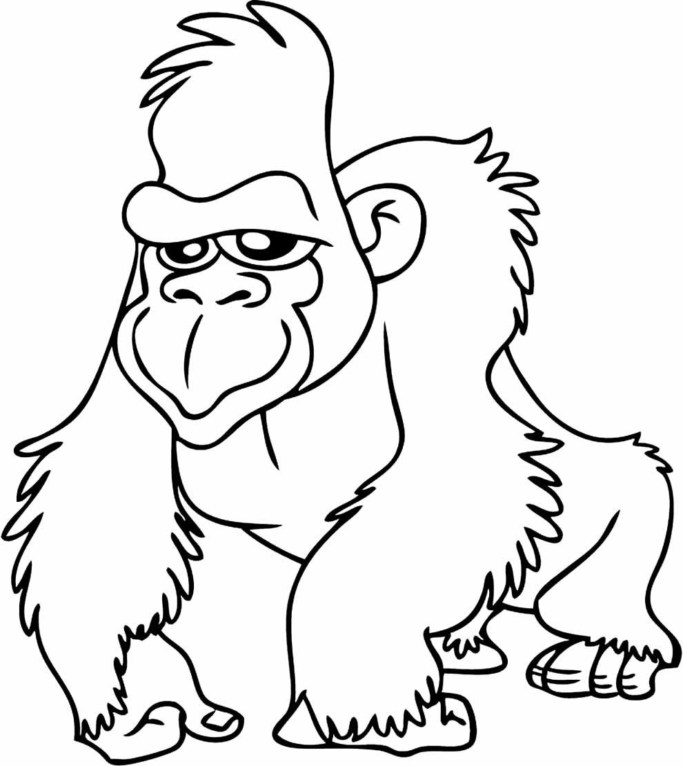 Desenho de orangotango