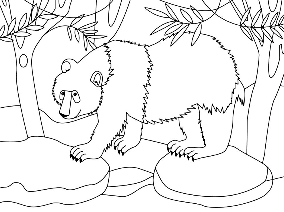 Desenho de Panda para pintar