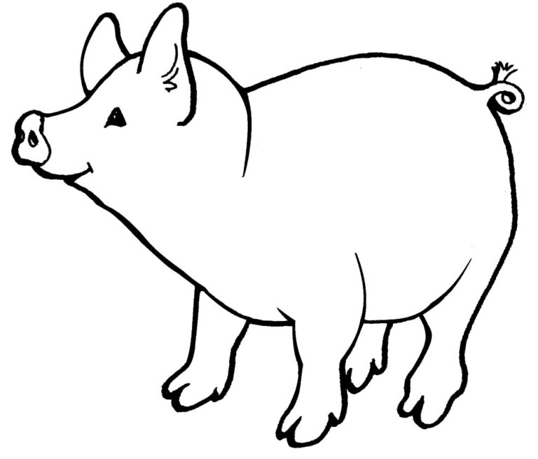 Desenhos de Porquinho para colorir - Pop Lembrancinhas