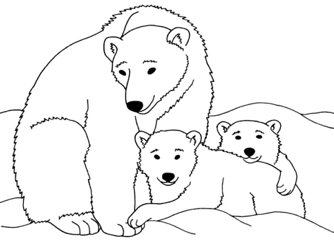 Imagem de Ursos para pintar e colorir