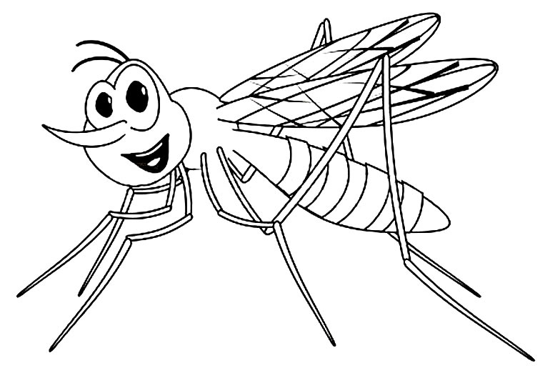 Desenho de mosquito para colorir