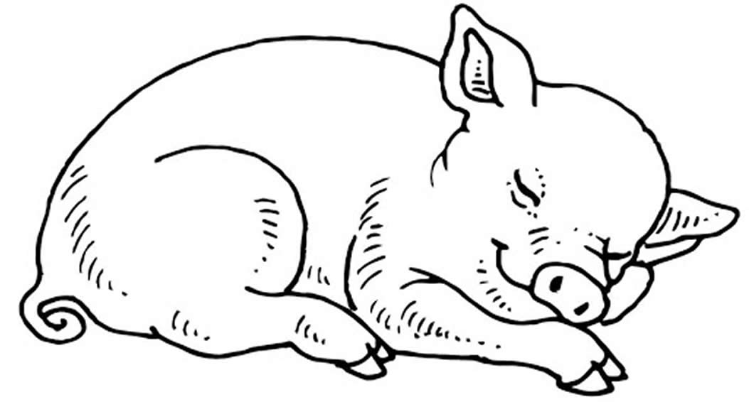 Desenho de porquinho para colorir