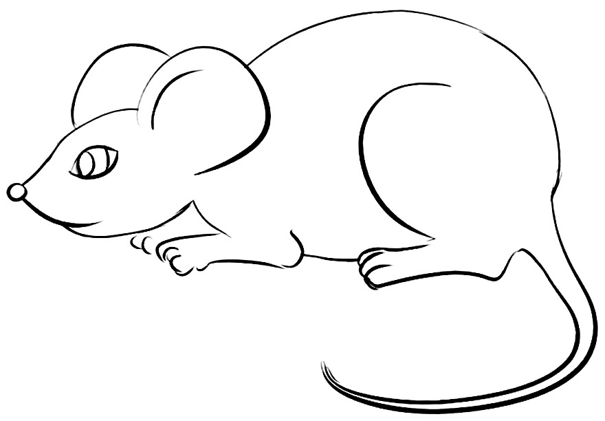 Desenho de Ratinho para pintar