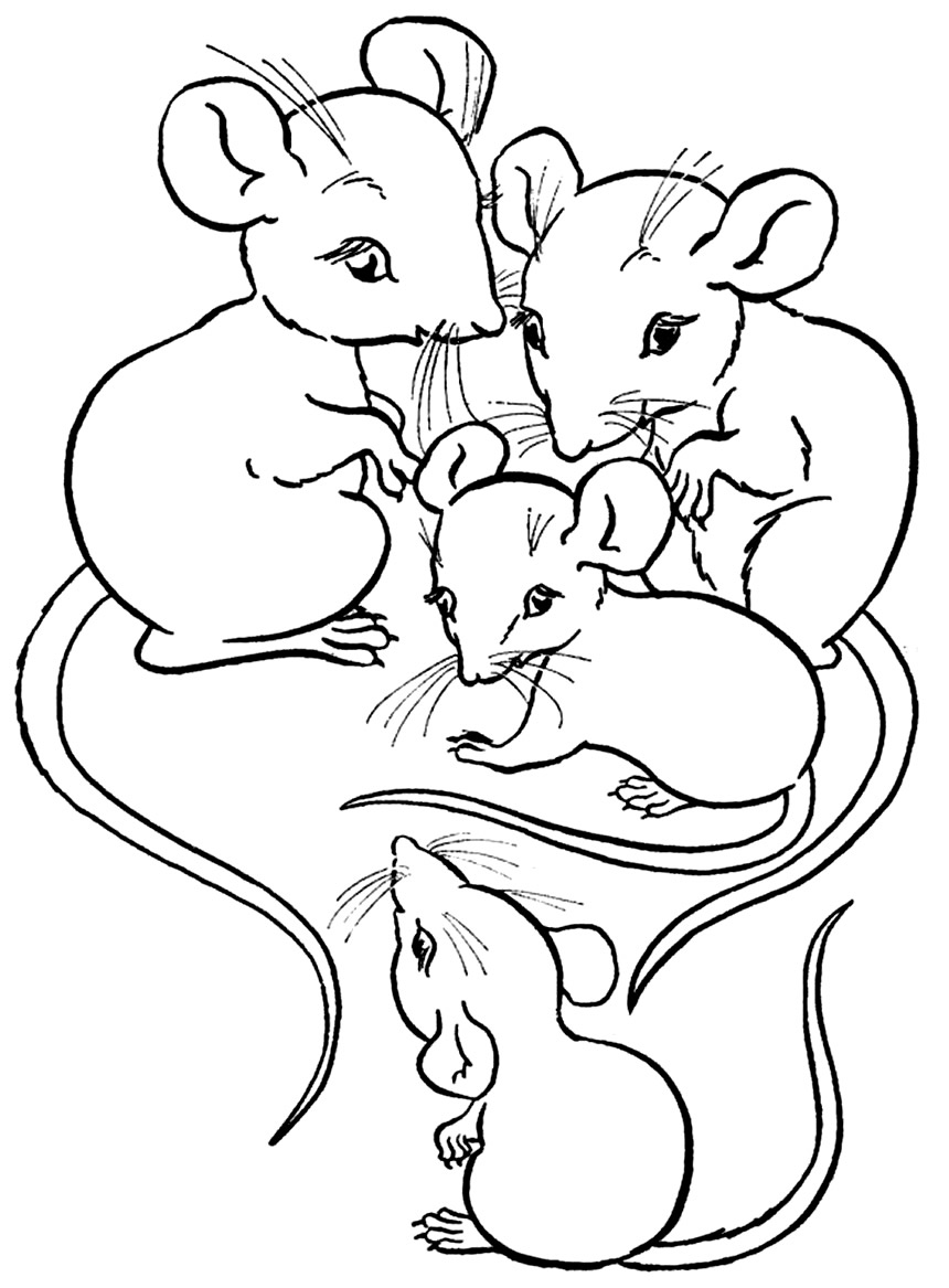 Moldes de Ratinho para imprimir