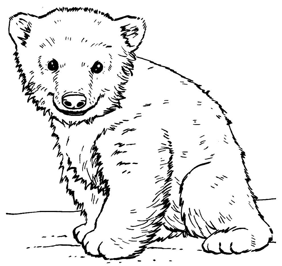 Desenho de Ursinho para colorir