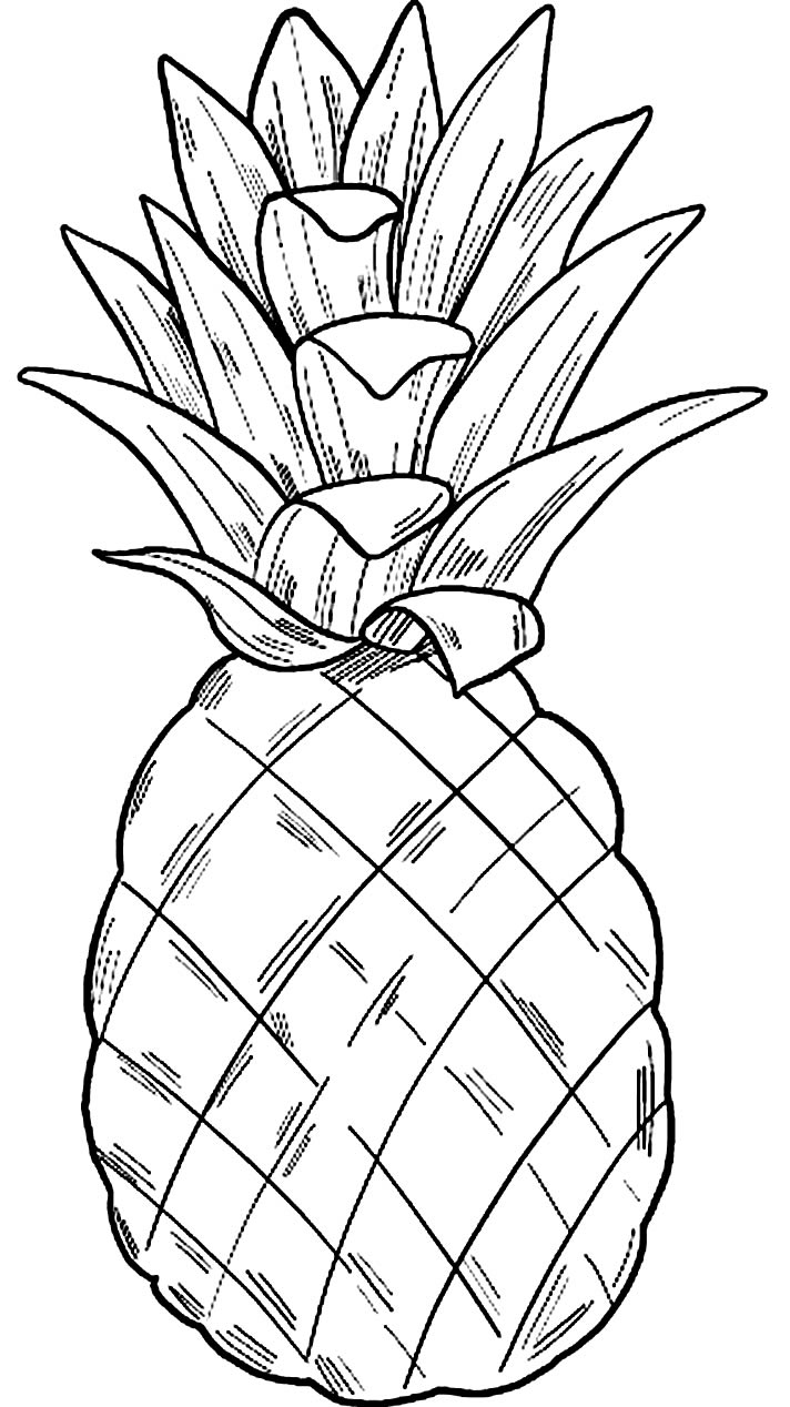 Desenho de abacaxi para colorir