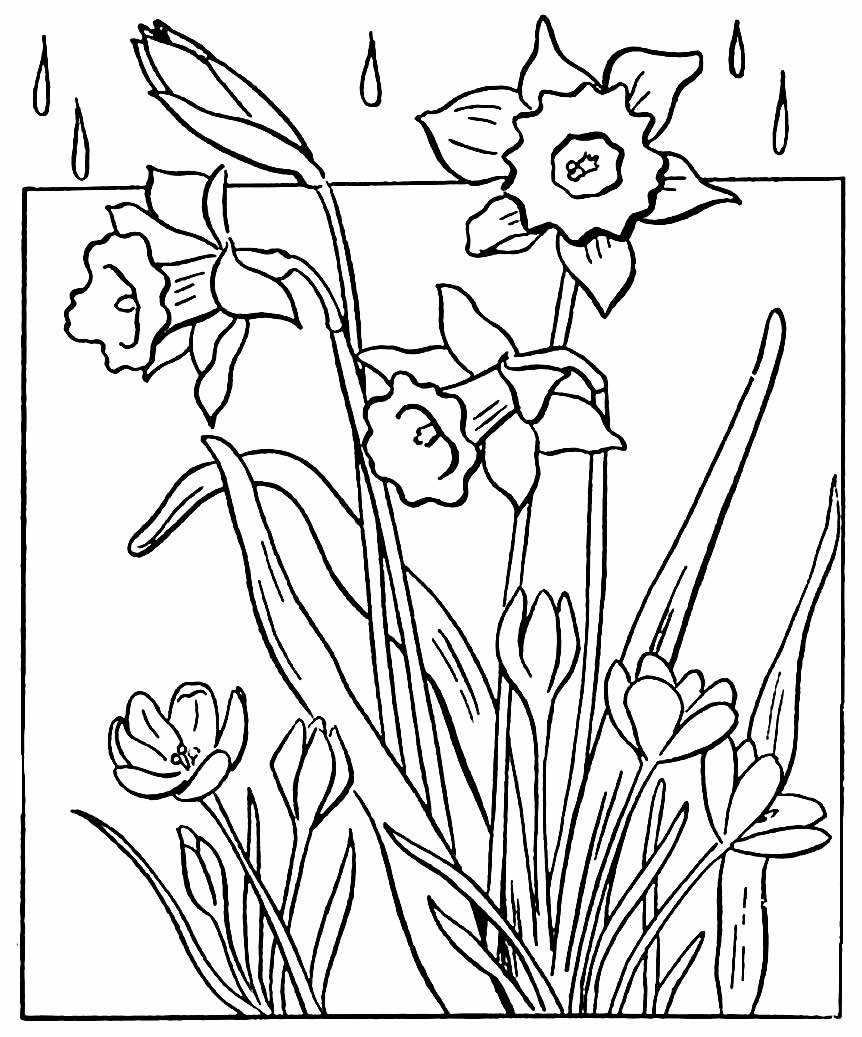 Desenho de Flores para colorir