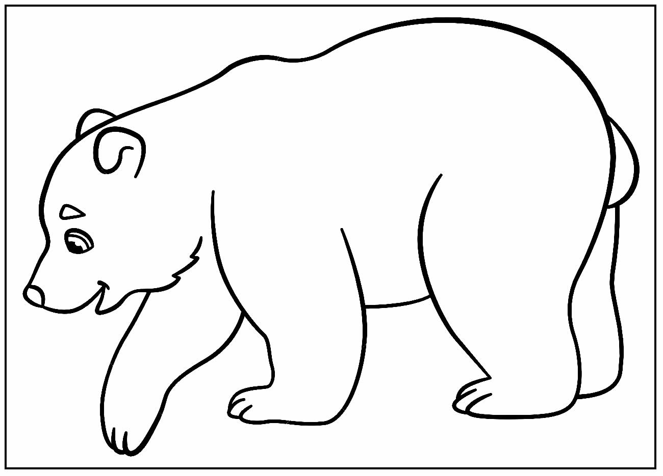 Desenhos de Urso para colorir
