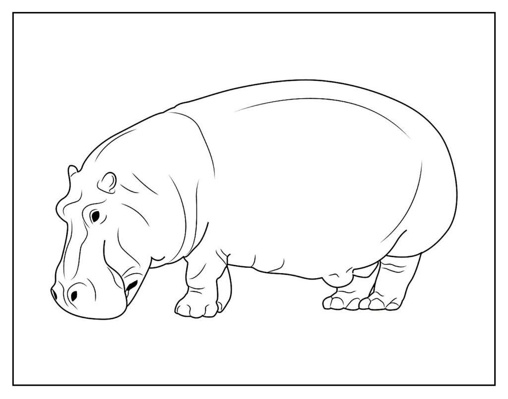 30+ Desenhos de Hipopótamo para colorir - Pop Lembrancinhas