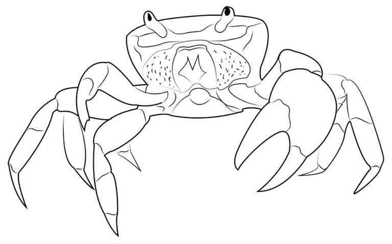 30+ Desenhos de Caranguejo para colorir - Pop Lembrancinhas