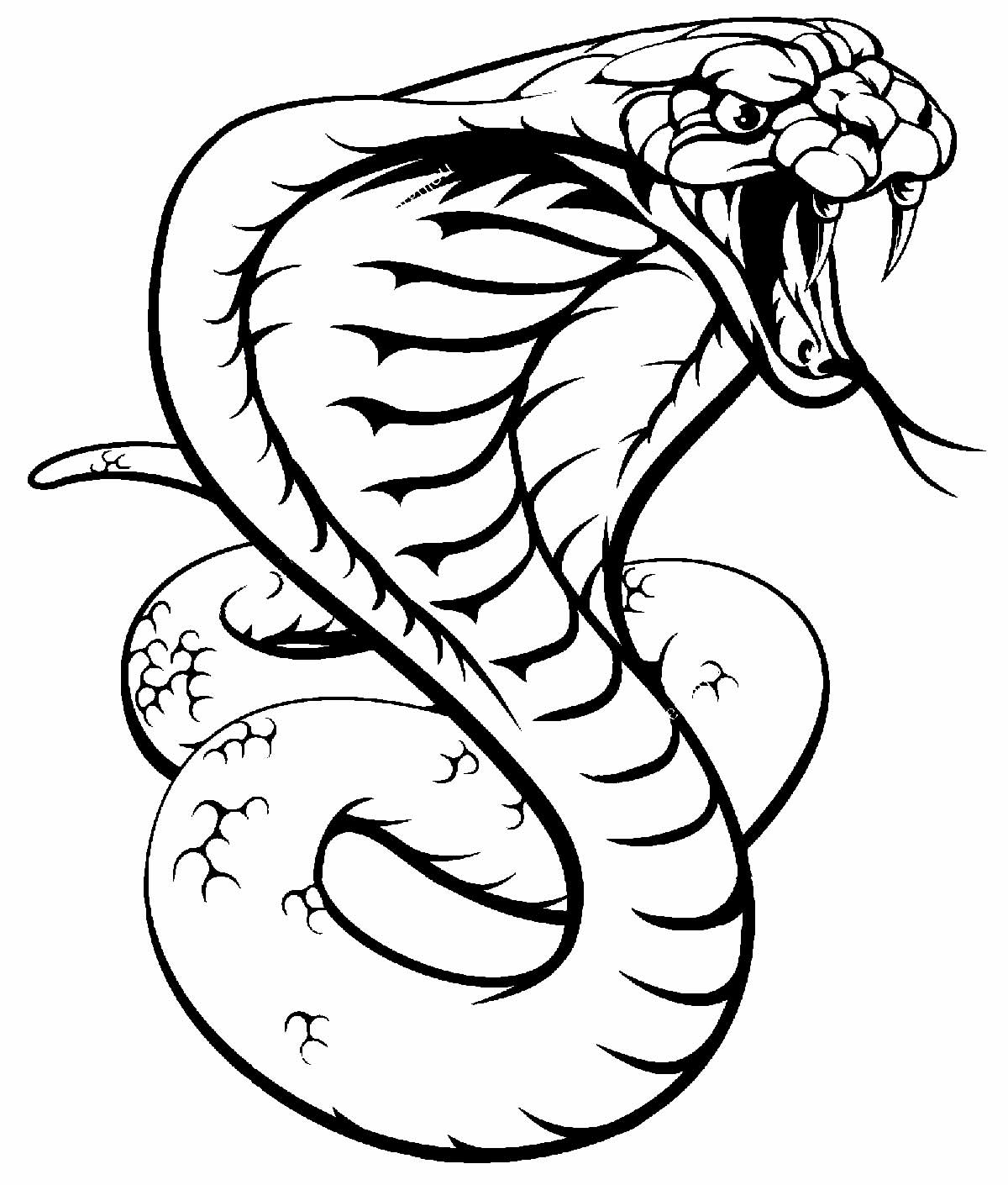 Desenho de Cobra para colorir