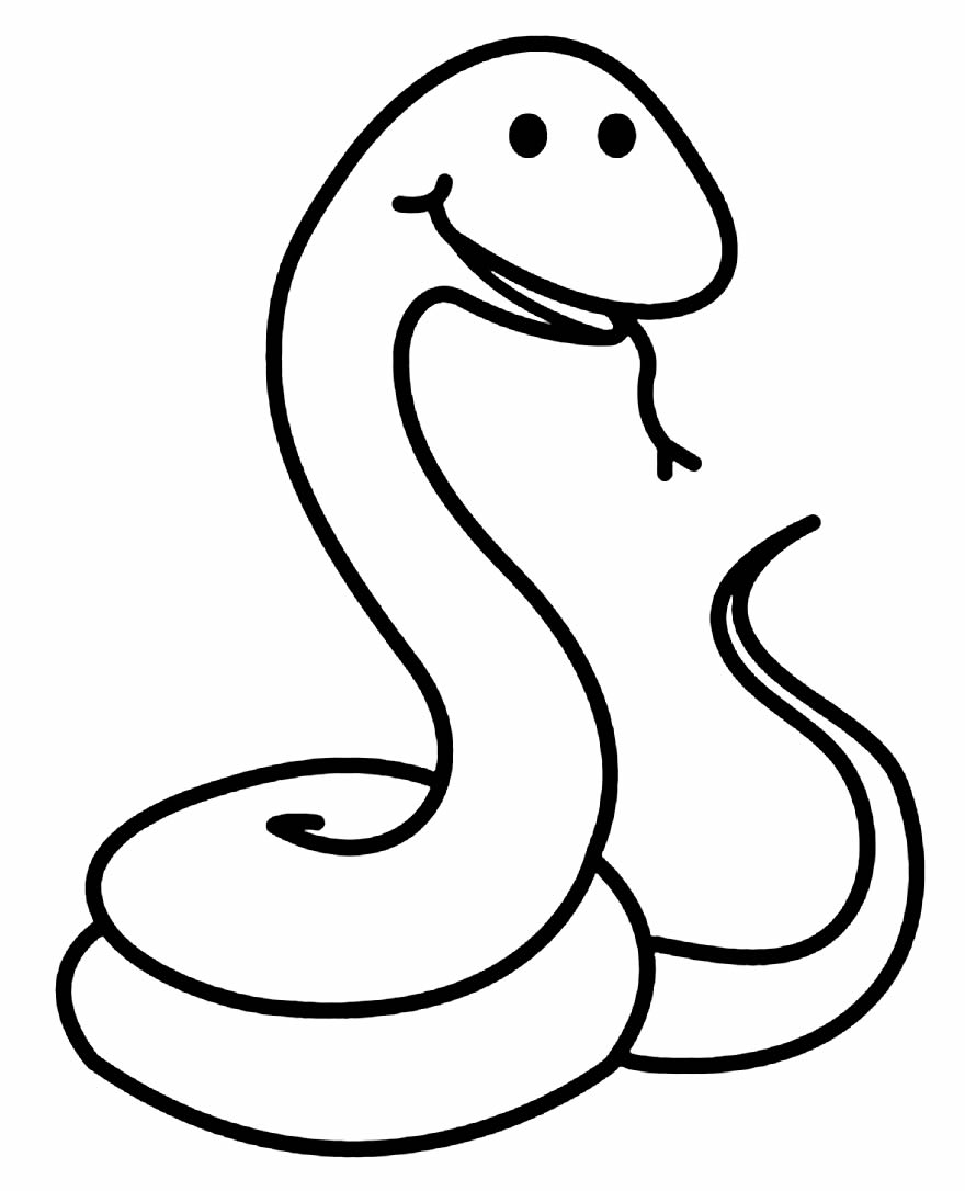 Muitos desenhos infantis para colorir desenho de cobra - Desenhos