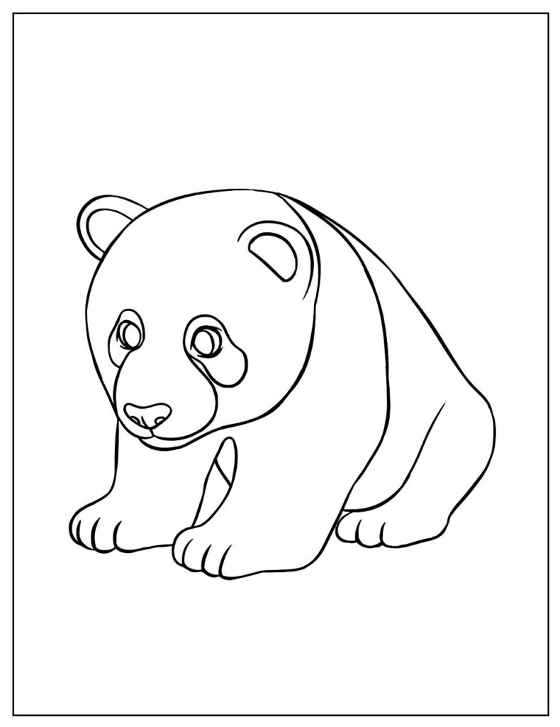 Малая панда раскраска