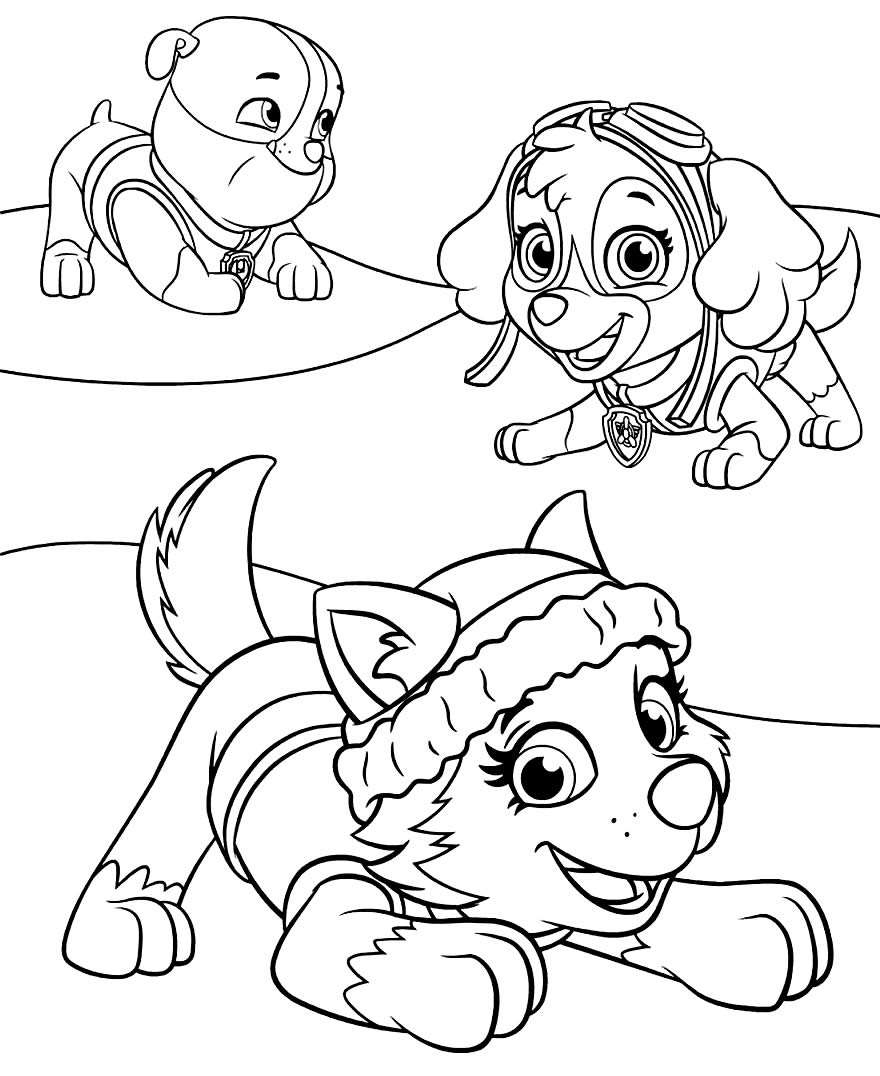 50+ Desenhos de Patrulha Canina para colorir - Como fazer em casa  Paw  patrol coloring pages, Paw patrol coloring, Animal coloring pages