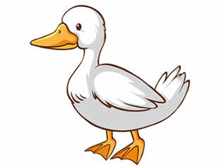 Desenho de pato para pintar