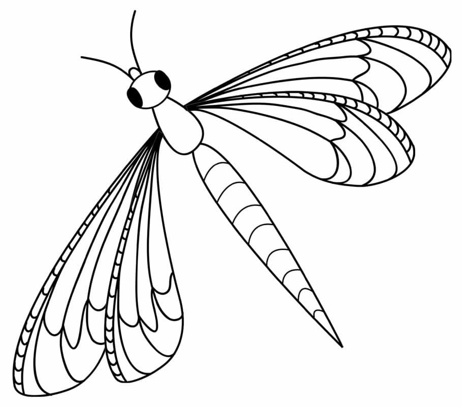 Desenho de insetos para pintar
