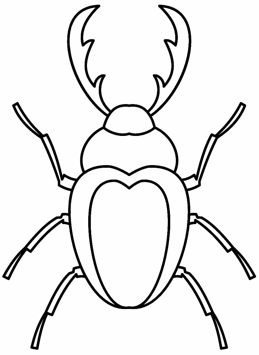 Desenho de inseto para pintar e imprimir