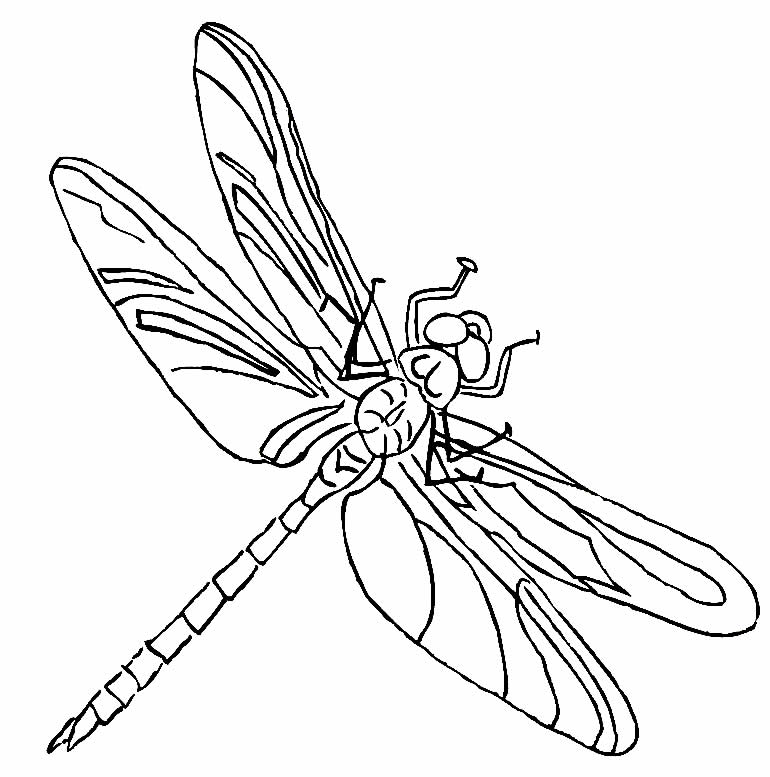 Desenho de inseto para colorir