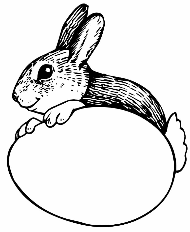 Desenho de coelhinho para colorir