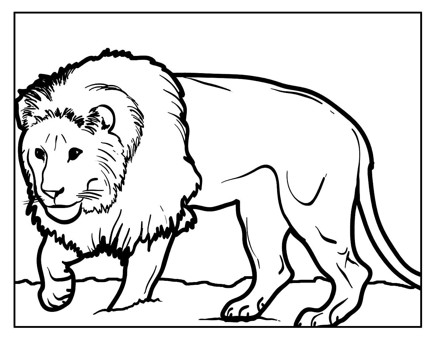 Página para colorir de Leão