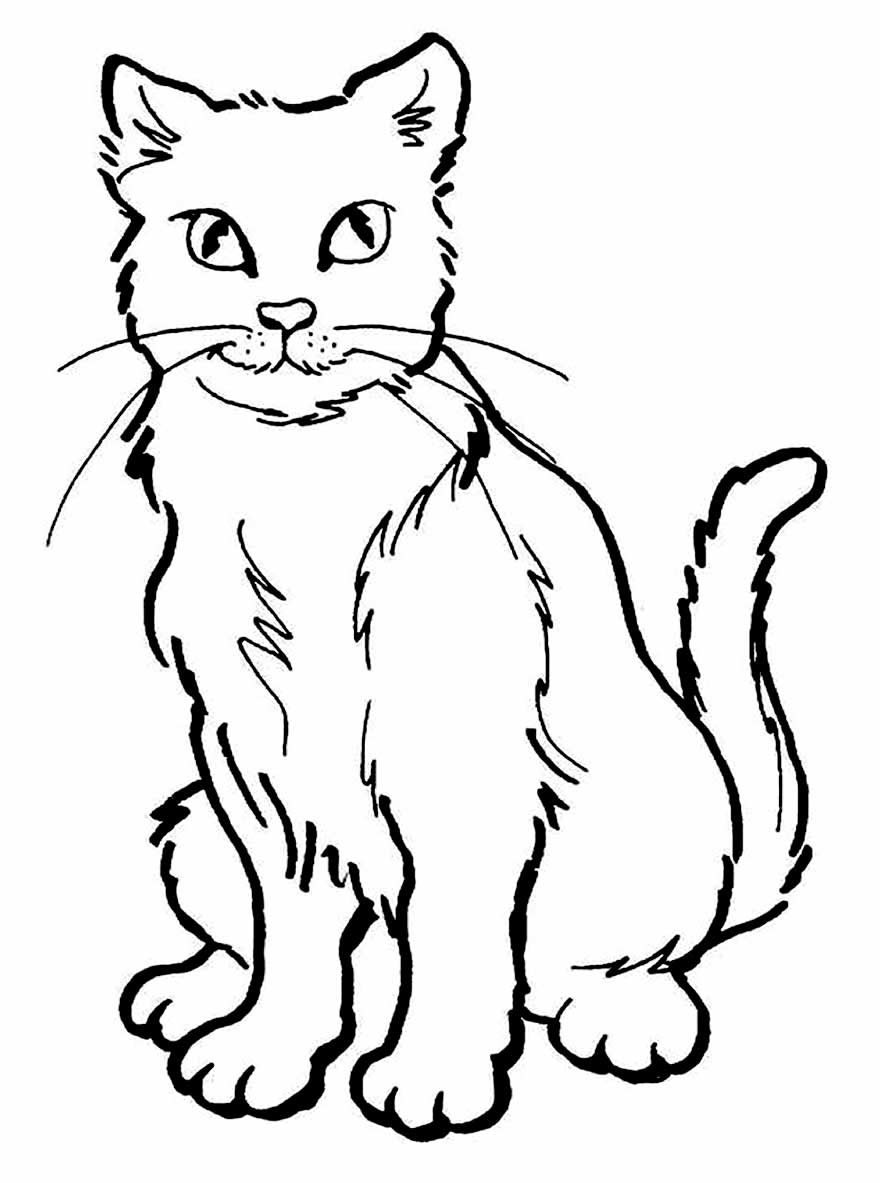 50+ Desenhos de Gatinho para colorir - Pop Lembrancinhas