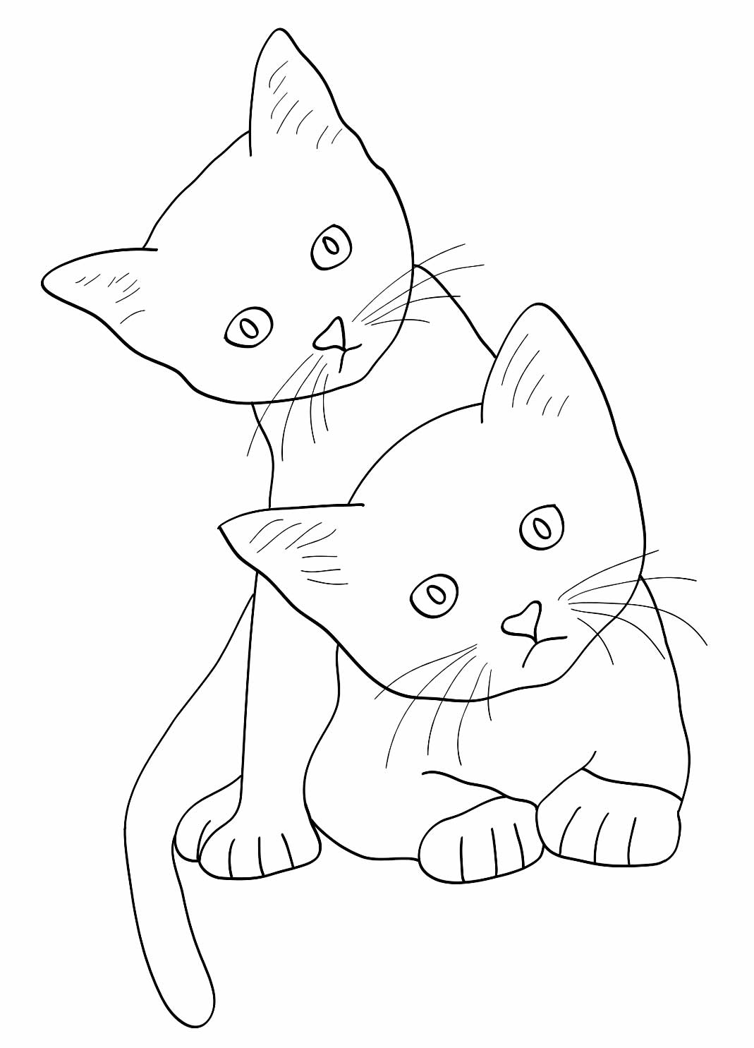 Gatinhos para colorir