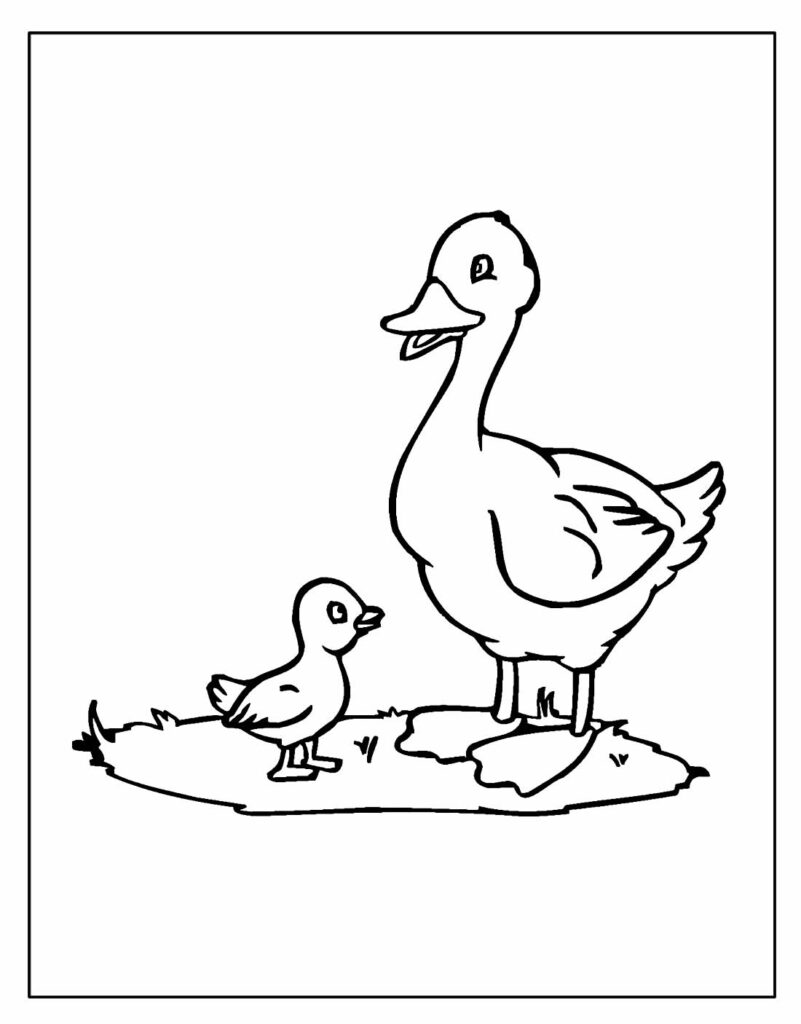 30+ Desenhos de Pato para colorir - Pop Lembrancinhas
