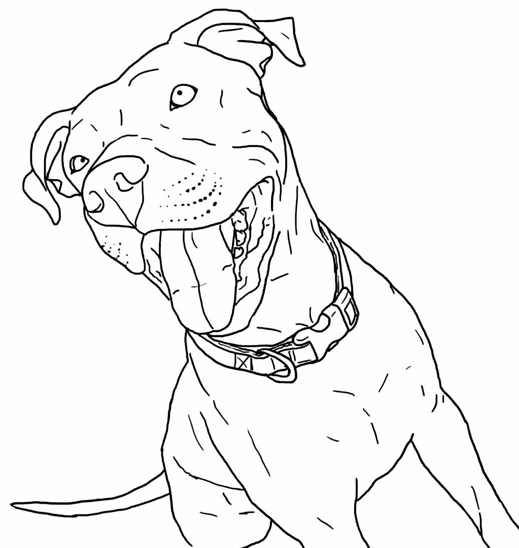 60+ Desenhos para colorir Realistas - Pop Lembrancinhas