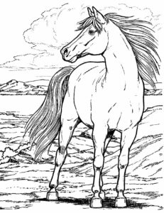 60+ Desenhos para colorir Realistas - Pop Lembrancinhas