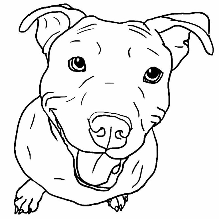 60+ Desenhos para colorir Realistas Pop Lembrancinhas