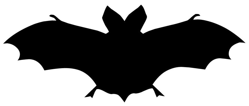 Molde de Morcego para imprimir