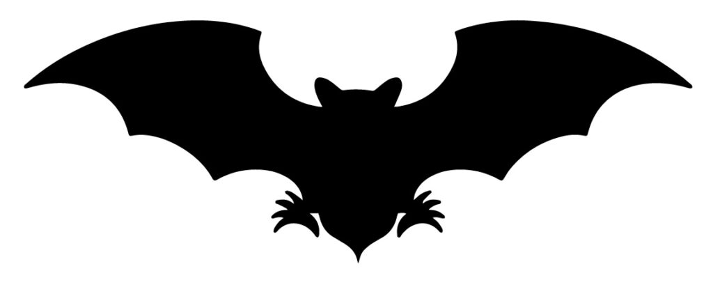 Moldes de Morcego