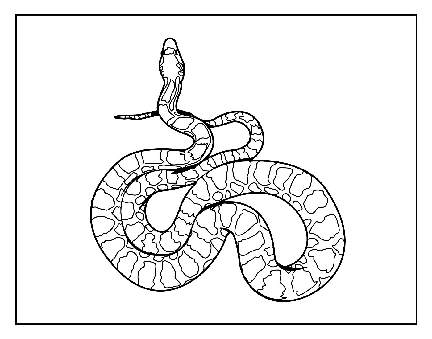 Desenho de Cobra para colorir