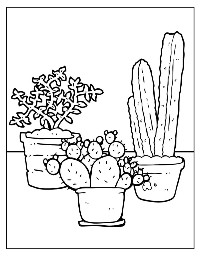 Desenhos para colorir de cactos e suculentas · Creative Fabrica