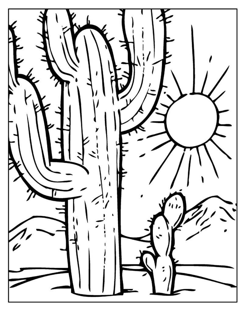 Pin Em Natureza Para Colorir  Desenho de plantas, Cactos desenho, Arte de  deserto